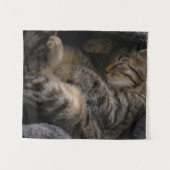 Tenture Animaux de bébés cutest | Chat Tabby Dormant (Devant (Horizontal))