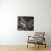 Tenture Animaux de bébés cutest | Chat Tabby Dormant (En situation (horizontale))