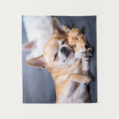 Tenture Animaux de bébés cutest | Chihuahua Chig aux cheve (Devant)