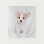 Tenture Animaux de bébés cutest | Chiot de Corgi blanc (Devant)