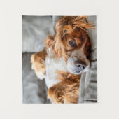Tenture Animaux de bébés cutest | Cocker Spaniel (Devant)