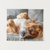 Tenture Animaux de bébés cutest | Cocker Spaniel (Devant (Horizontal))