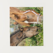 Tenture Animaux de bébés cutest | Colt à cheval (Devant)