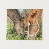 Tenture Animaux de bébés cutest | Colt à cheval (Devant (Horizontal))