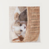 Tenture Animaux de bébés cutest | Corgi Miny Puppy (Devant)