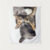 Tenture Animaux de bébés cutest | Cute Kitten Hug (Devant)