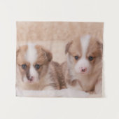 Tenture Animaux de bébés cutest | Deux Marionnettes Corgi (Devant (Horizontal))