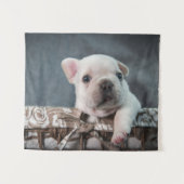 Tenture Animaux de bébés cutest | French Bulldog (Devant (Horizontal))