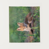 Tenture Animaux de bébés cutest | Kit Red Fox Relaxant (Devant)