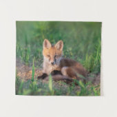 Tenture Animaux de bébés cutest | Kit Red Fox Relaxant (Devant (Horizontal))