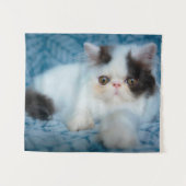 Tenture Animaux de bébés cutest | Kitten noir et blanc (Devant (Horizontal))