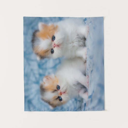 Tenture Animaux de bébés cutest | Persian Calico Kitten (Devant)