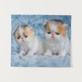 Tenture Animaux de bébés cutest | Persian Calico Kitten (Devant (Horizontal))