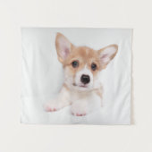 Tenture Animaux de bébés cutest | Sweet Baby Corgi (Devant (Horizontal))