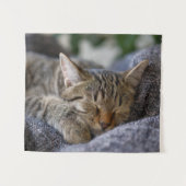 Tenture Animaux de bébés cutest | Tabby Kitten Sommeil (Devant (Horizontal))