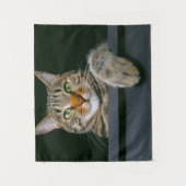 Tenture Animaux de bébés cutest | Tête de chat gris Tabby (Devant)