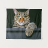 Tenture Animaux de bébés cutest | Tête de chat gris Tabby (Devant (Horizontal))