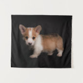 Tenture Animaux de bébés cutest | Tiny Corgi (Devant (Horizontal))