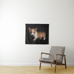 Tenture Animaux de bébés cutest Tiny Corgi