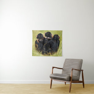 Tenture Animaux de bébés cutest   Trois chimpanzés en trai