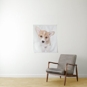 Tenture Animaux de bébés cutest Young Corgi Puppy