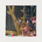 Tenture Animaux marins (Devant)