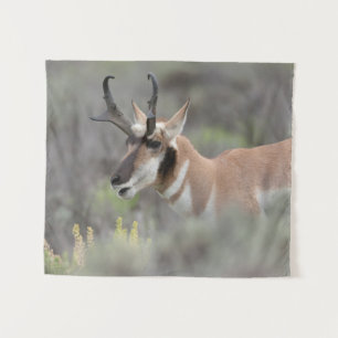 Tenture Antilope d'Amérique mâle   Grand Tetons