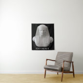 Tenture Antinous  (En situation)