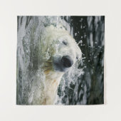 Tenture Aqua Aura de l'ours polaire (Devant (Horizontal))