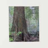 Tenture Arbre à conifères géant (Devant)