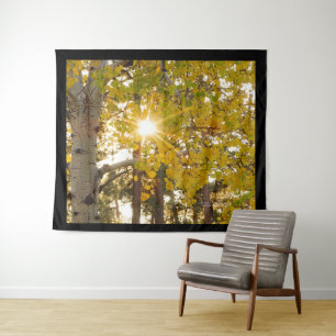 Tenture Arbre d'Aspen avec feuillage de automne Jaune Sunb