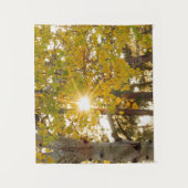Tenture Arbre d'Aspen avec feuillage de automne jaune Sunb (Devant)