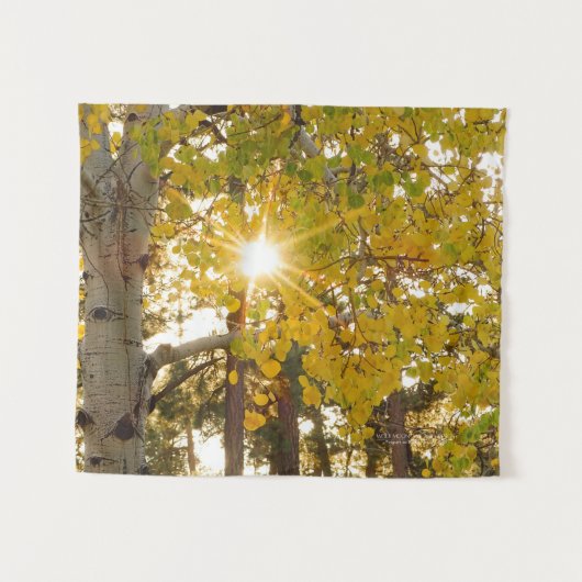 Tenture Arbre d'Aspen avec feuillage de automne jaune Sunb (Devant (Horizontal))