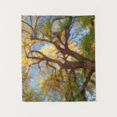 Tenture Arbre de Cottonwood | Parc national du récif du Ca (Devant)