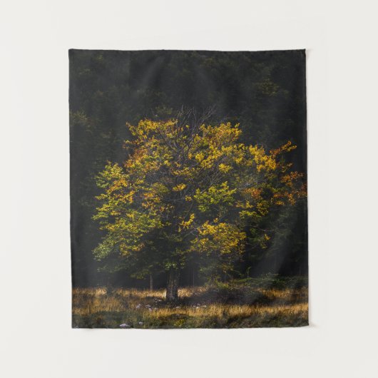 Tenture Arbre de couleur automne (Devant)