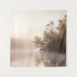 TENTURE ARBRES AVEC BROUILLARD
