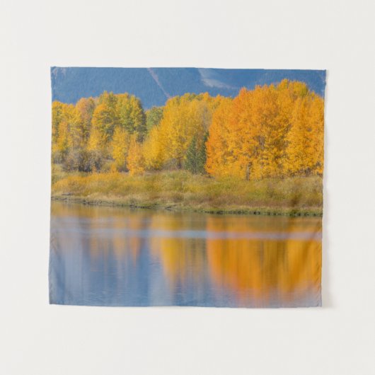 Tenture Arbres d'Aspen couleur d'automne (Devant (Horizontal))