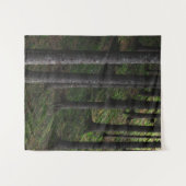 Tenture Arbres et mousse verte (Devant (Horizontal))