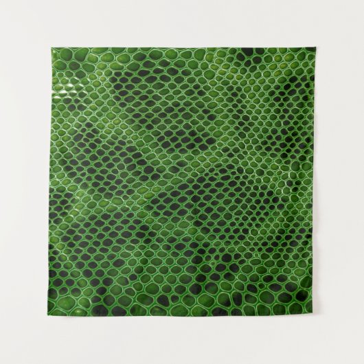 Tenture Arrière - plan de peau de serpent exotique (Devant (Horizontal))