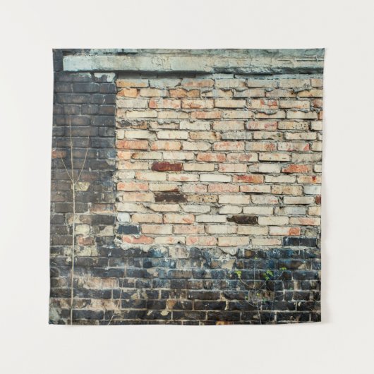 Tenture Arrière - plan de texture murale en briques mélang (Devant)