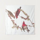 Tenture Audubon's Purple Finch Trois oiseaux rouges en hiv (Devant (Horizontal))