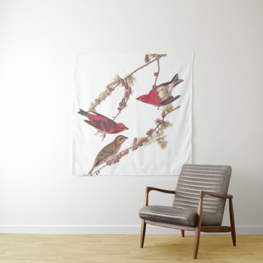 Tenture Audubon's Purple Finch Trois oiseaux rouges en hiv (En situation)