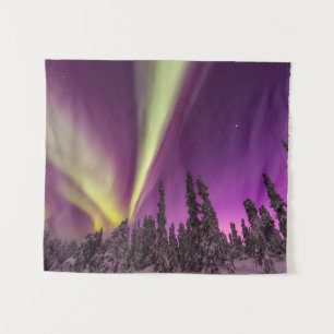 Tenture Aurora Borealis Northern Lights Fairbanks Alaska