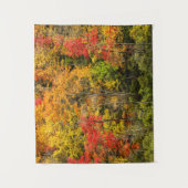 Tenture Automne à Sims Pond North Carolina, Blue Ridge (Devant)