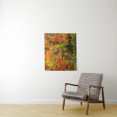 Tenture Automne à Sims Pond North Carolina, Blue Ridge (En situation)