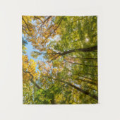 Tenture Automne dans une forêt à Amesbury, Massachusetts (Devant)
