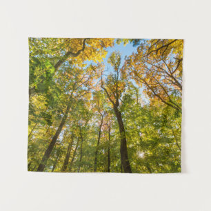 Tenture Automne dans une forêt à Amesbury, Massachusetts