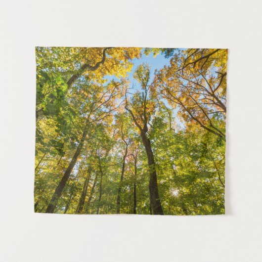 Tenture Automne dans une forêt à Amesbury, Massachusetts (Devant (Horizontal))