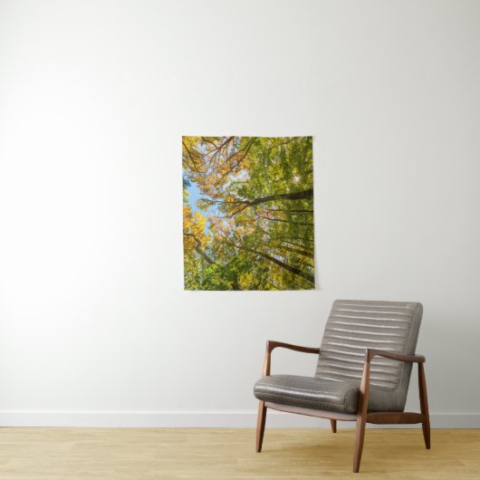 Tenture Automne dans une forêt à Amesbury, Massachusetts (En situation)