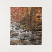 TENTURE AUTUMN FOREST RIVER SEDONA ARIZONA (Devant)